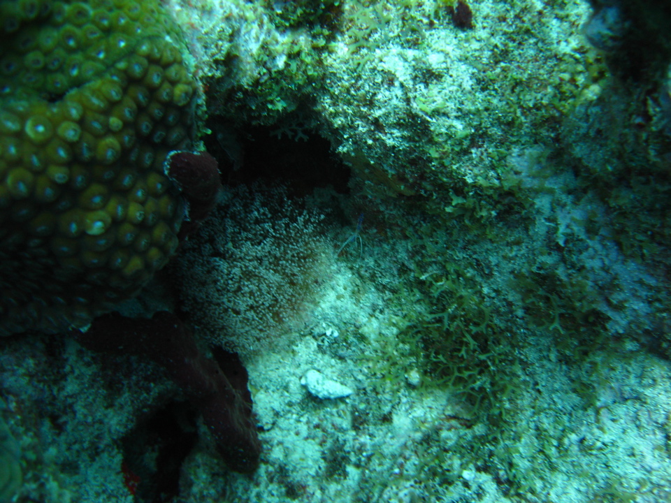 IMG_0754.JPG