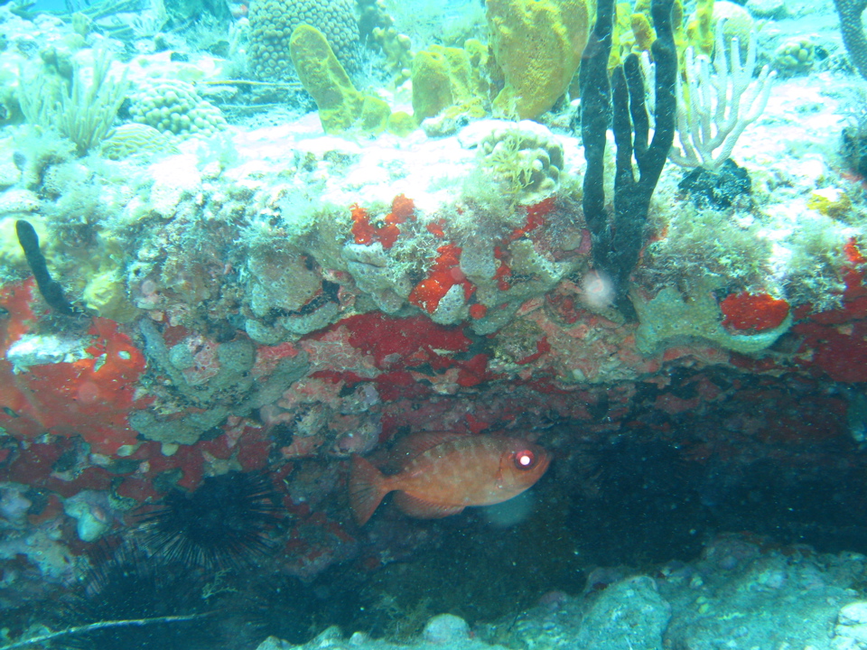 IMG_1002.JPG