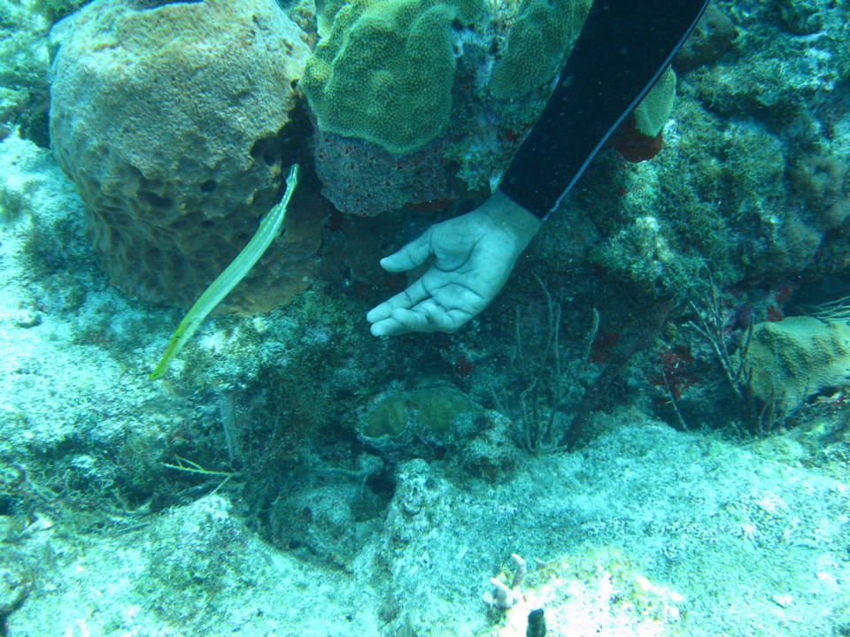 IMG_0756.JPG