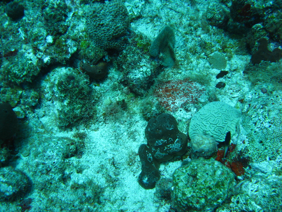 IMG_1040.JPG