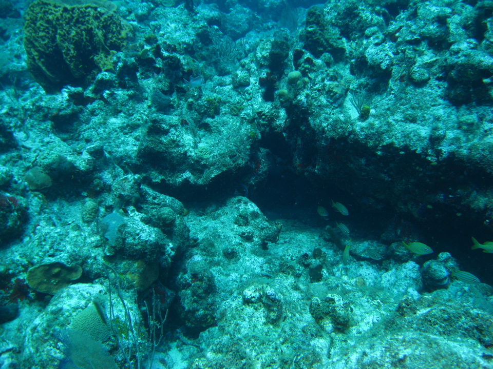 IMG_1041.JPG
