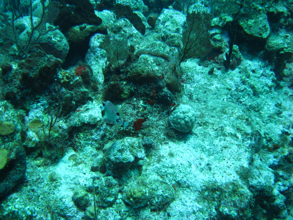 IMG_1046.JPG