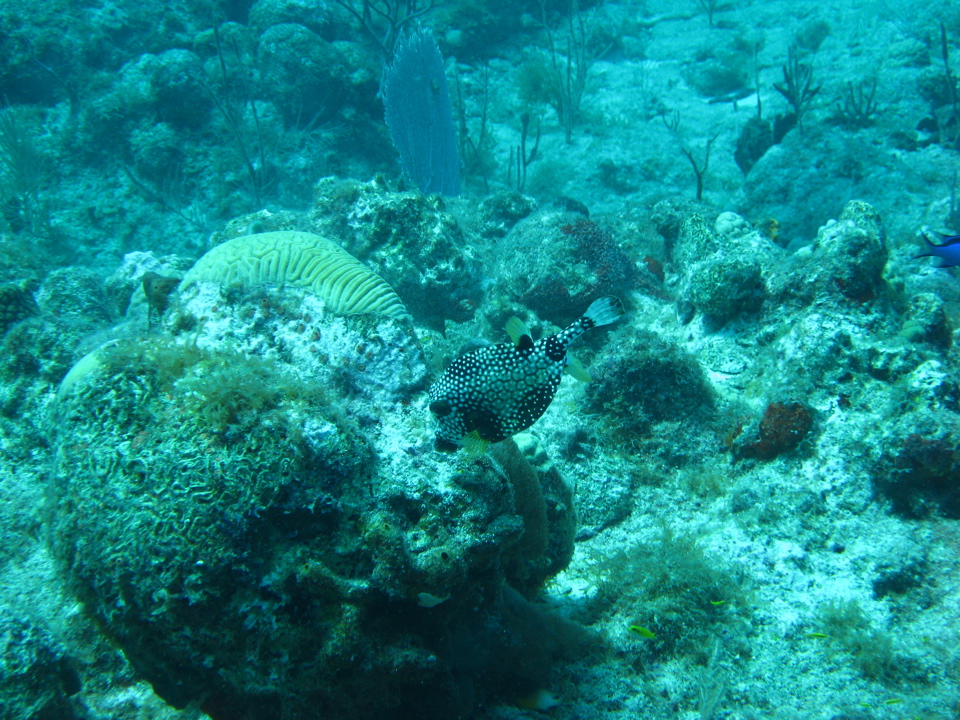 IMG_1050.JPG
