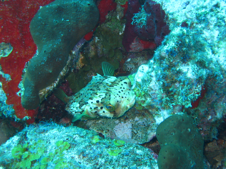 IMG_1052.JPG
