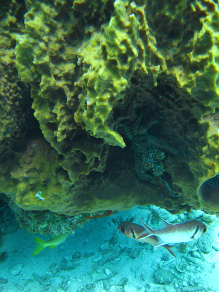 IMG_0758.JPG