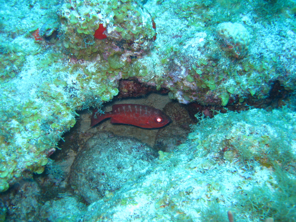 IMG_1092.JPG