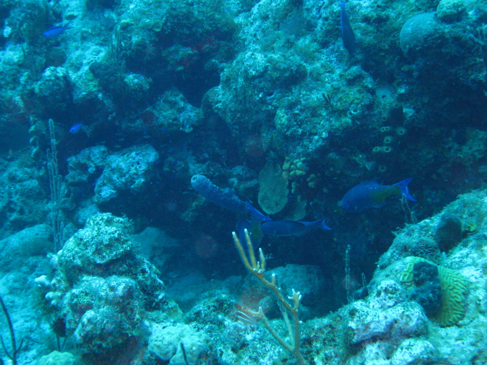 IMG_1097.JPG