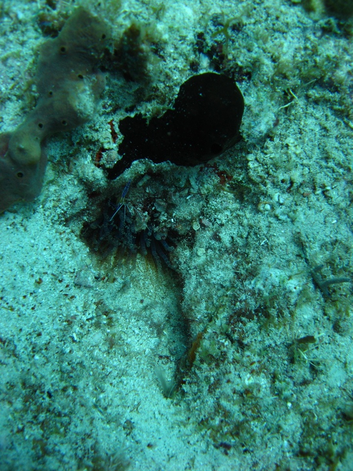 IMG_0760.JPG