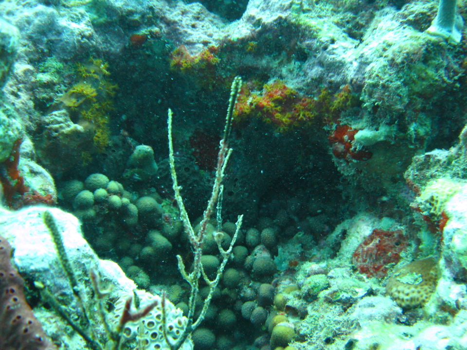 IMG_1145.JPG