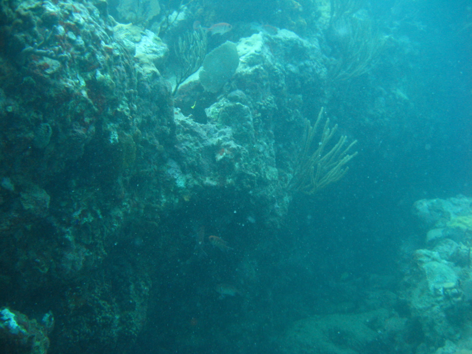 IMG_1146.JPG