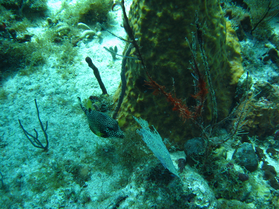 IMG_0762.JPG
