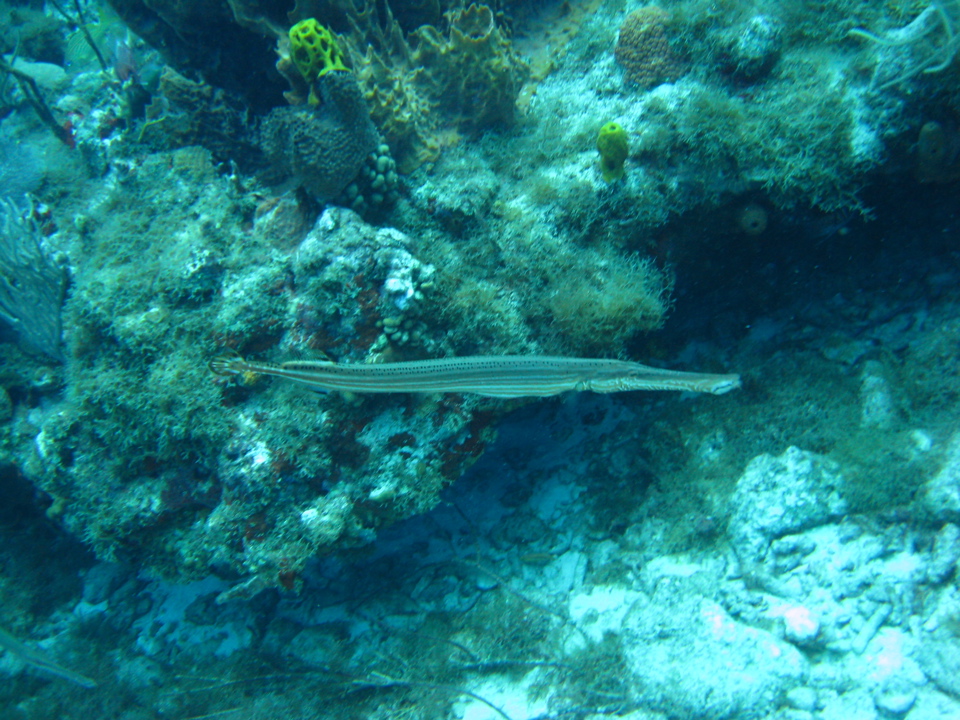 IMG_0764.JPG