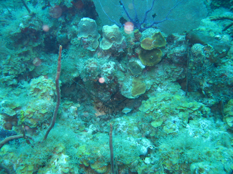 IMG_1326.JPG