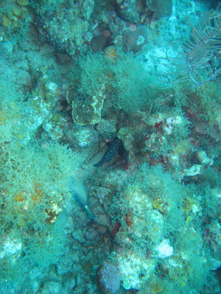 IMG_1327.JPG