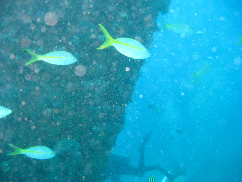 IMG_1357.JPG