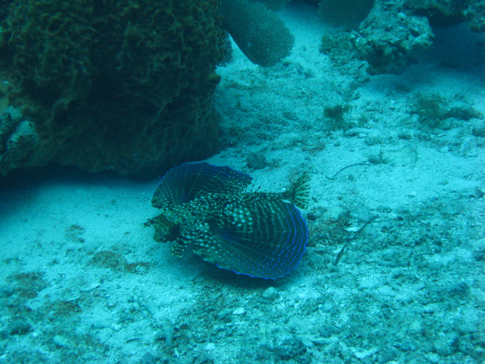 IMG_0768.JPG