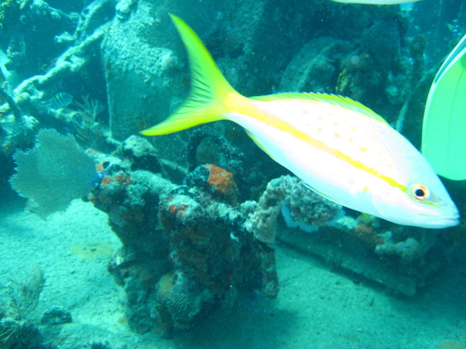 IMG_1365.JPG