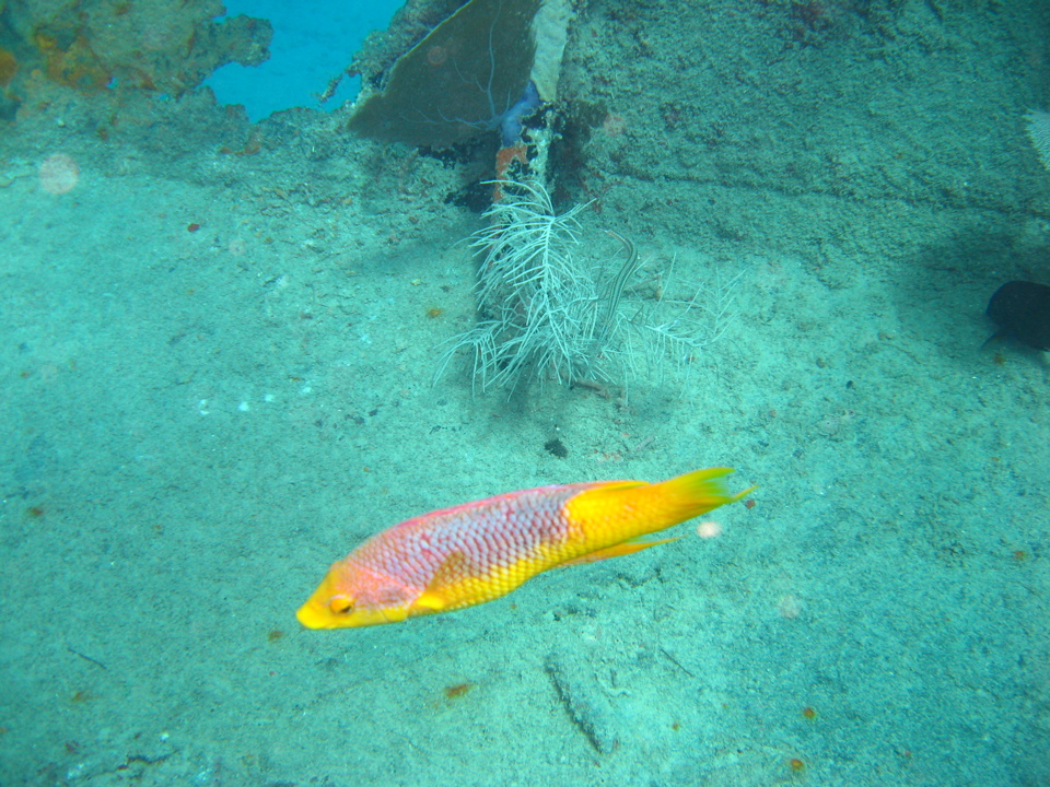 IMG_1367.JPG