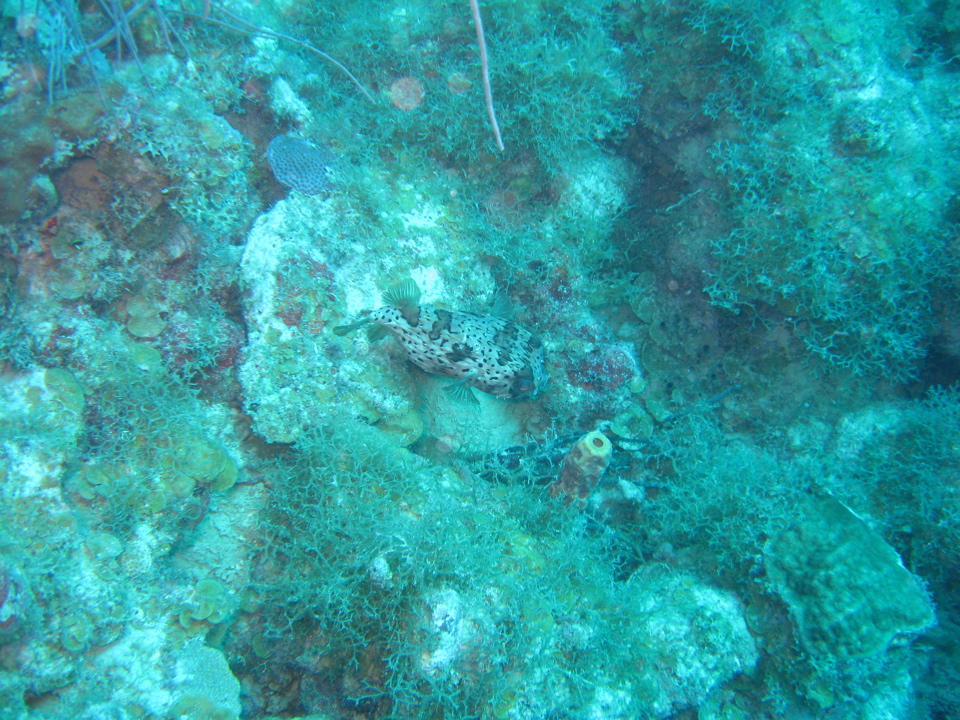 IMG_0805.JPG