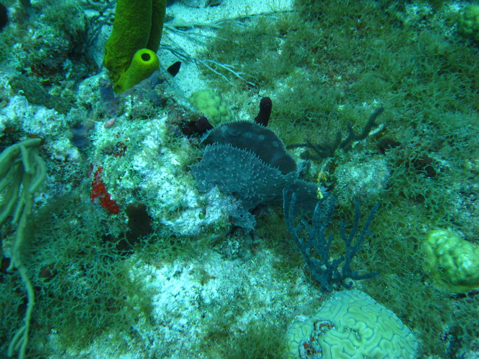 IMG_0815.JPG