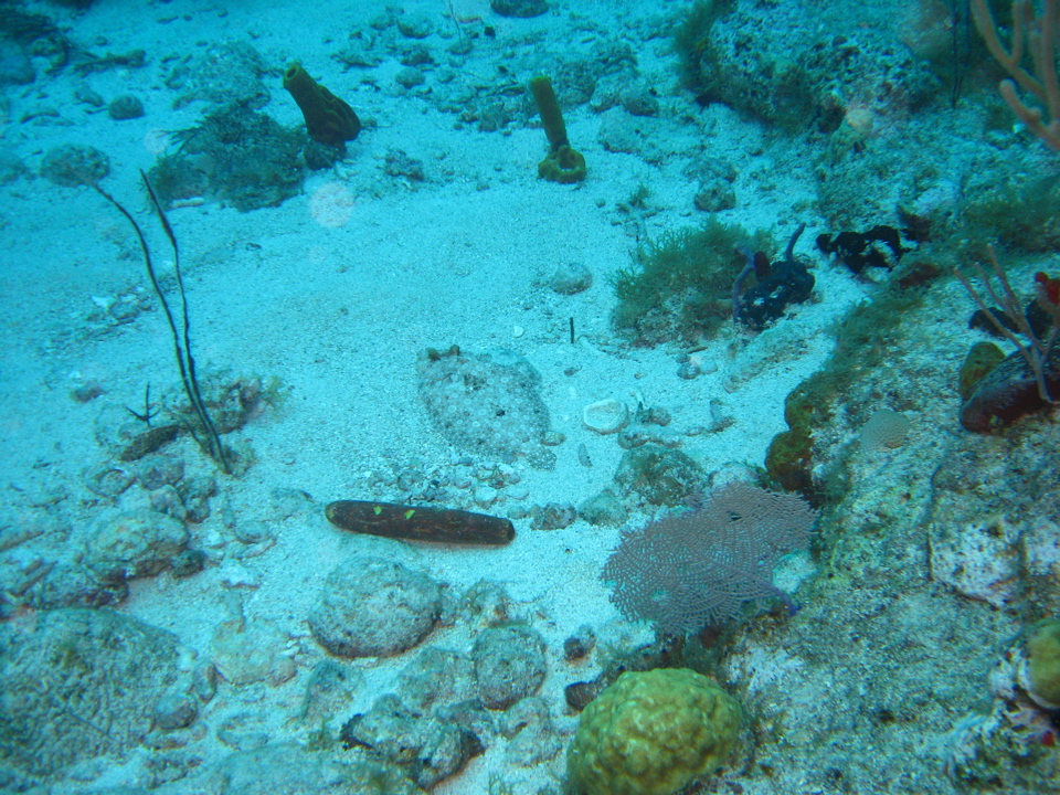 IMG_0816.JPG