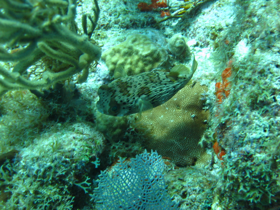 IMG_0820.JPG