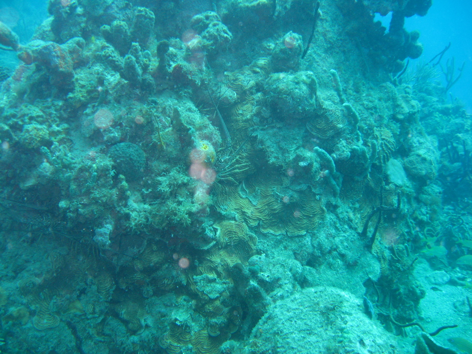 IMG_0843.JPG
