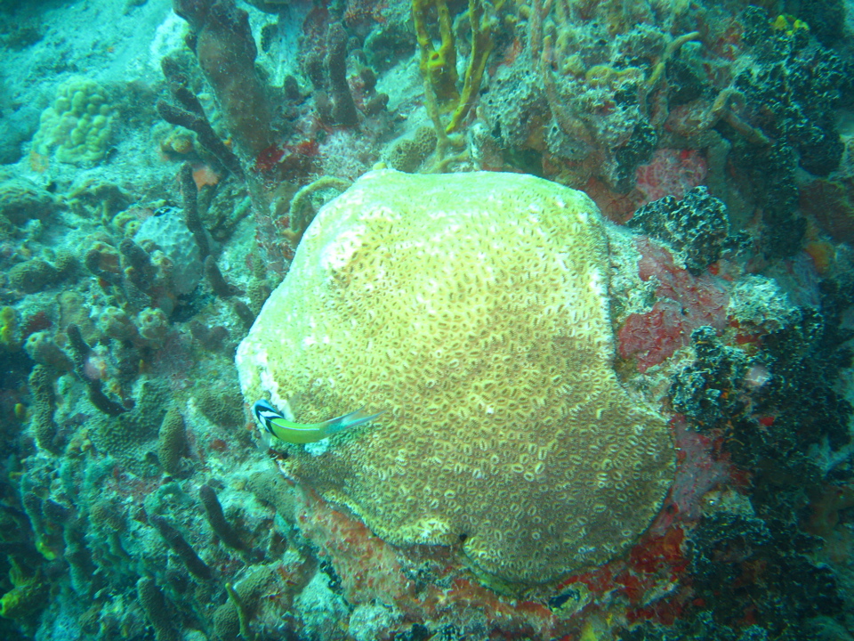 IMG_0846.JPG
