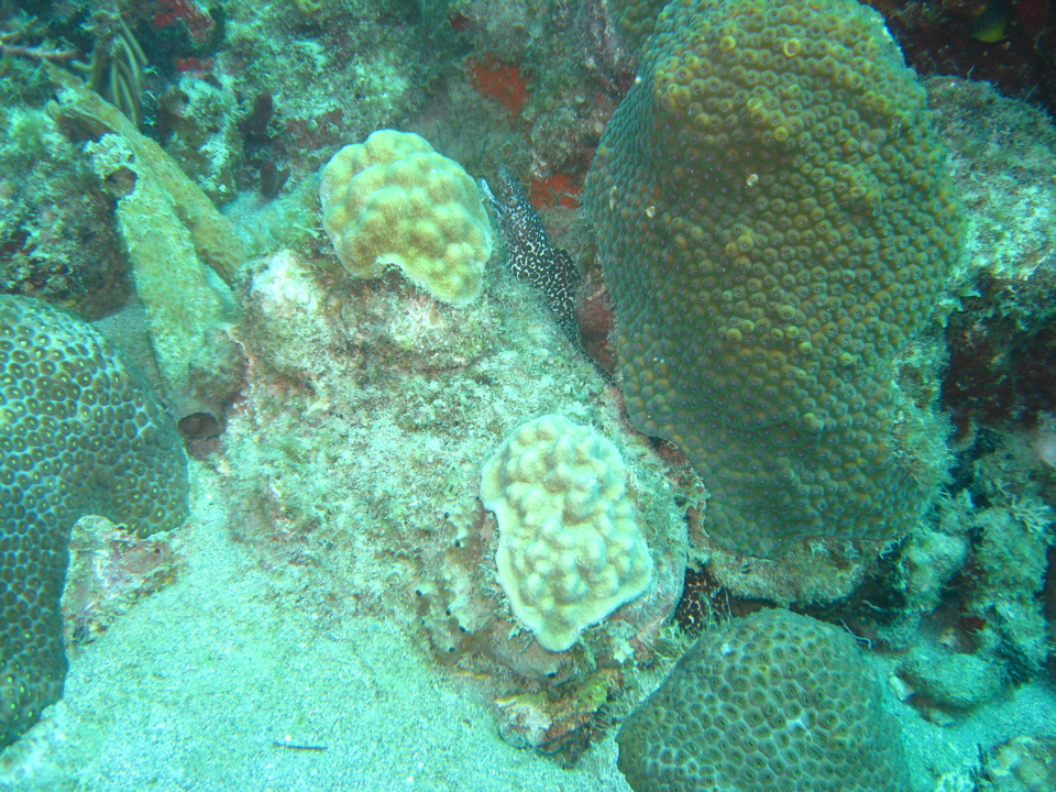 IMG_0847.JPG