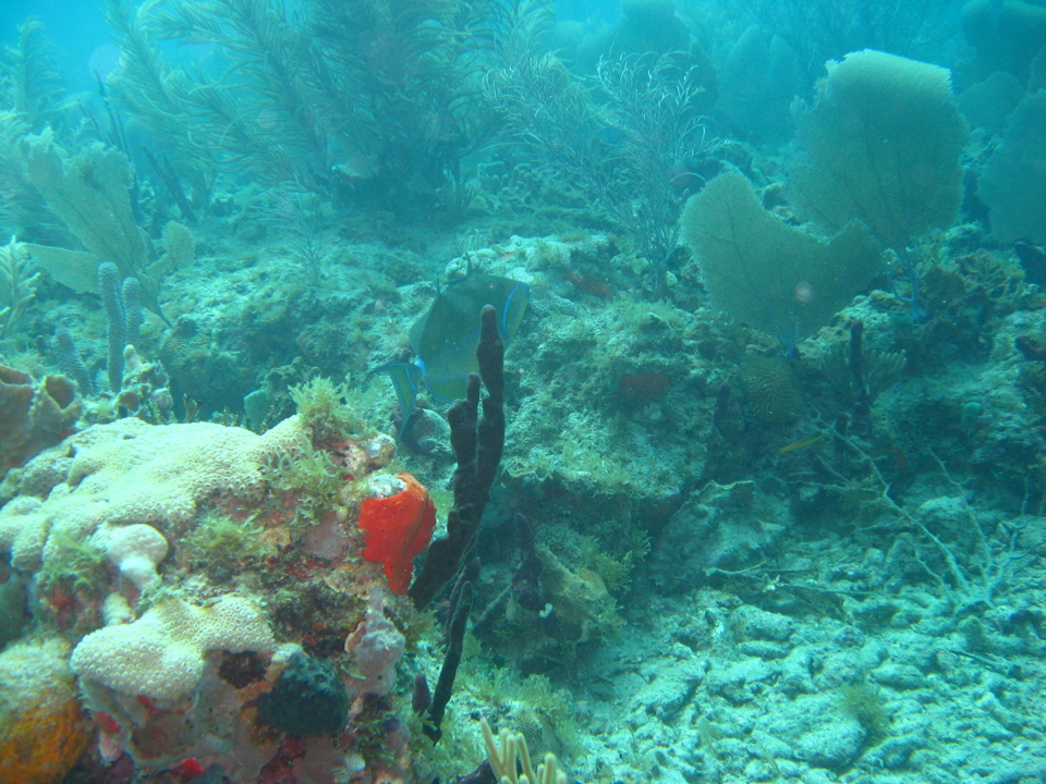 IMG_0856.JPG