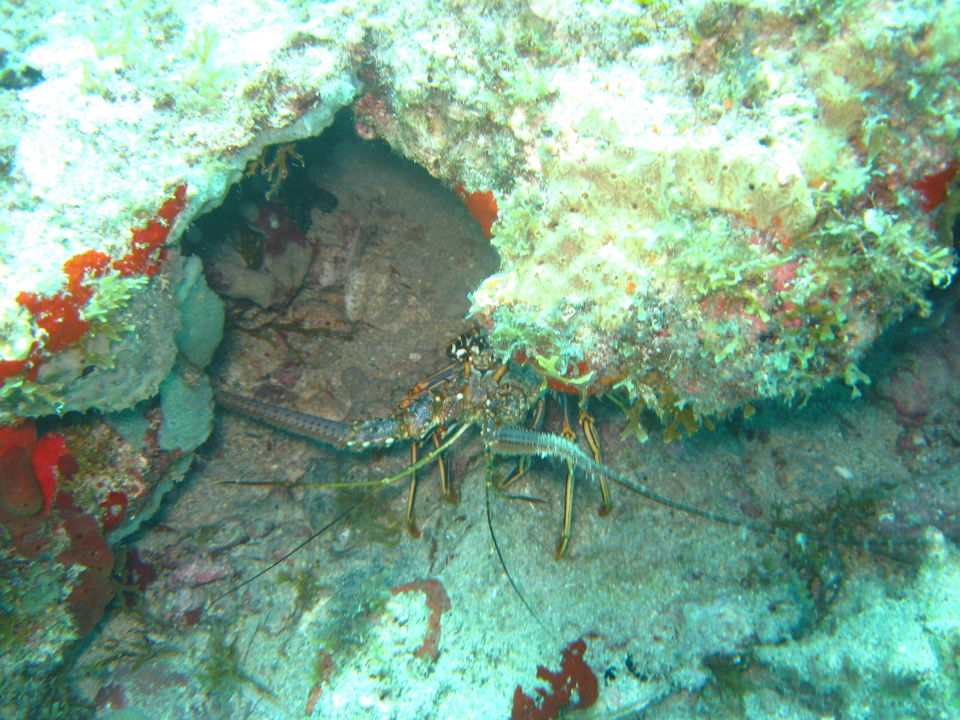 IMG_0857.JPG
