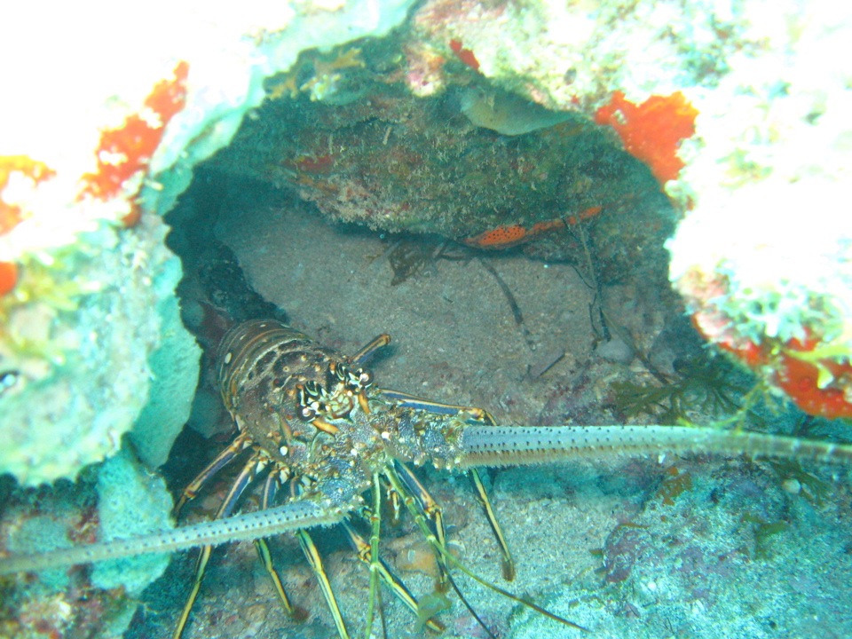 IMG_0858.JPG