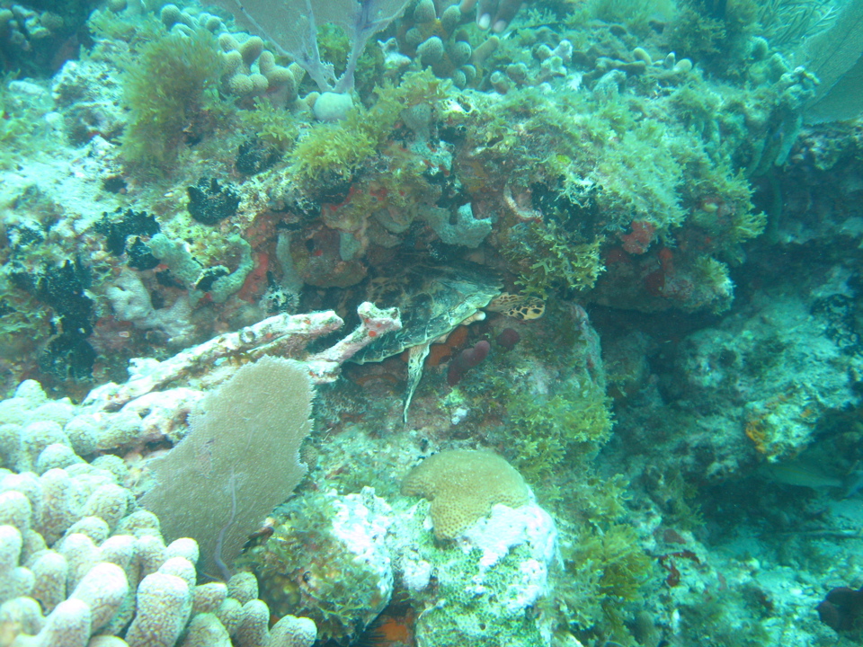 IMG_0861.JPG