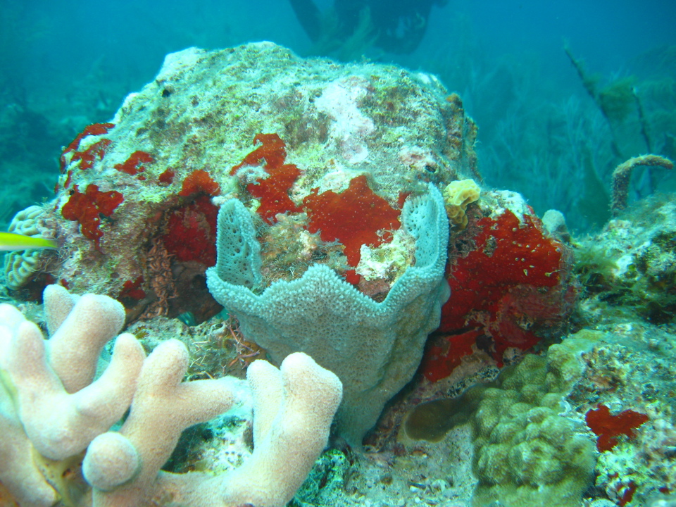 IMG_0864.JPG