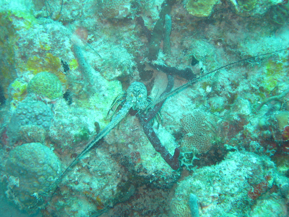 IMG_0933.JPG