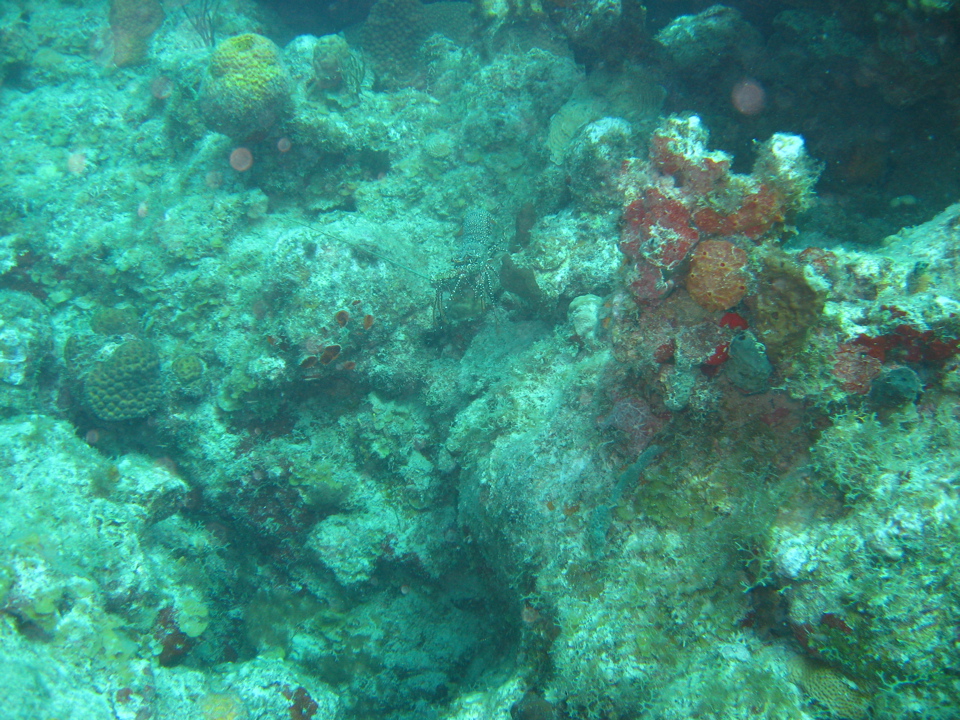IMG_0938.JPG