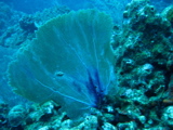 IMG_0742.JPG