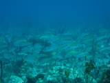 IMG_0752.JPG