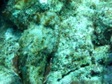 IMG_0753.JPG