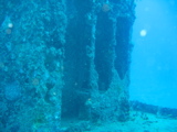 IMG_0987.JPG