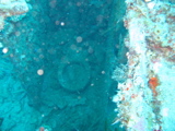 IMG_0988.JPG