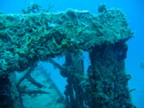IMG_0991.JPG