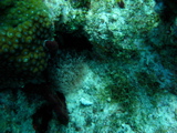 IMG_0754.JPG