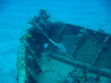 IMG_0994.JPG