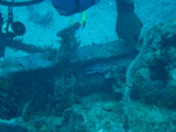 IMG_0996.JPG