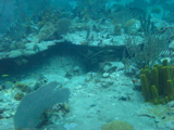 IMG_1001.JPG