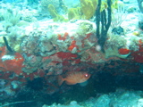 IMG_1002.JPG