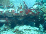 IMG_1003.JPG