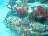 IMG_1005.JPG