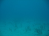 IMG_1006.JPG